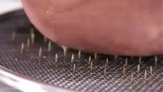 Queensnake.com - Tit Tacks 2